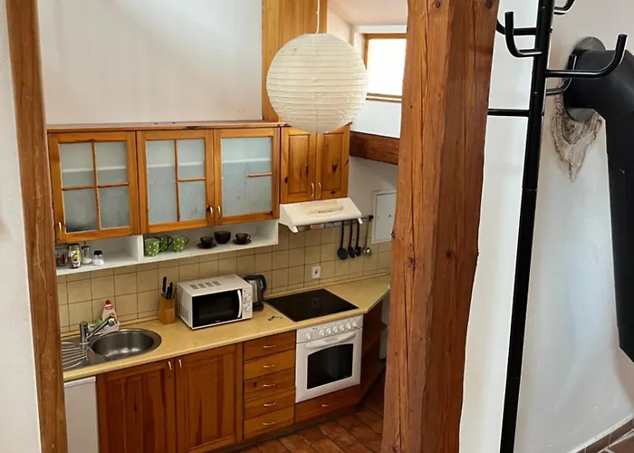 Travel Apartma 公寓 *